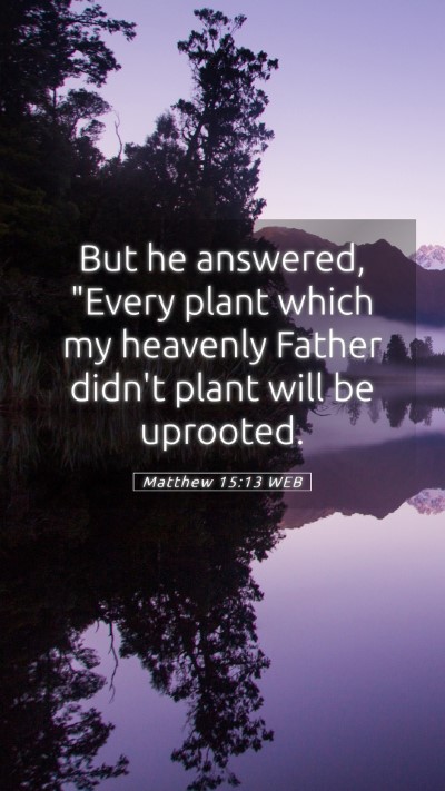 Picture 05 - Matthew 15:13 WEB Mobile Phone Wallpaper - But he answered, 