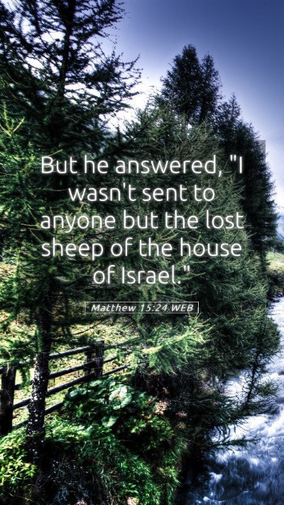 Picture 05 - Matthew 15:24 WEB Mobile Phone Wallpaper - But he answered, 