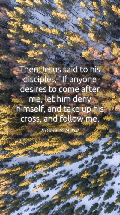Picture 05 - Matthew 16:24 WEB Mobile Phone Wallpaper - Then Jesus said to his disciples, 