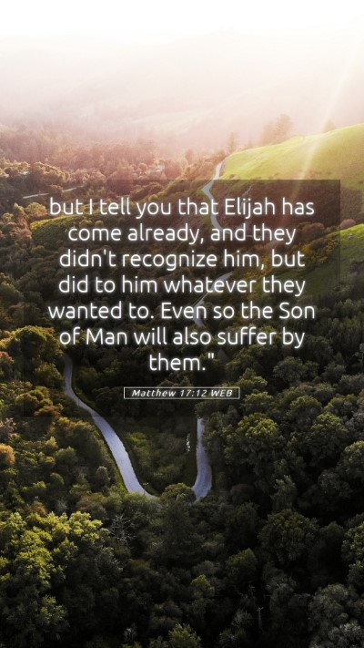 Picture 05 - Matthew 17:12 WEB Mobile Phone Wallpaper - but I tell you that Elijah has come already, and - Mobile Bible Verse Wallpaper