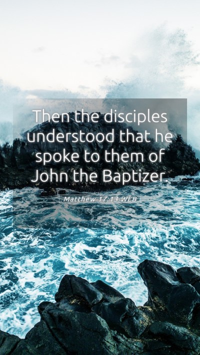 Picture 05 - Matthew 17:13 WEB Mobile Phone Wallpaper - Then the disciples understood that he spoke to - Mobile Bible Verse Wallpaper