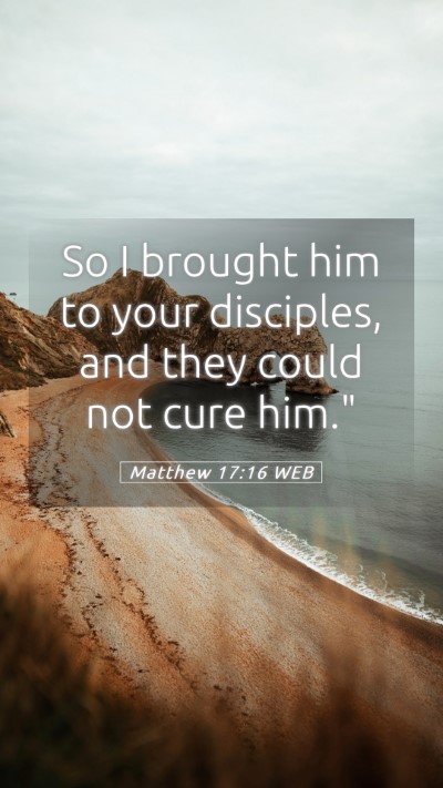 Picture 05 - Matthew 17:16 WEB Mobile Phone Wallpaper - So I brought him to your disciples, and they - Mobile Bible Verse Wallpaper