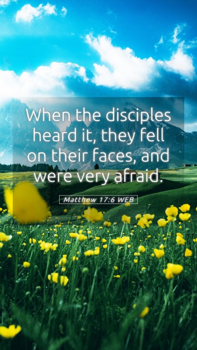 Picture 05 - Matthew 17:6 WEB Mobile Phone Wallpaper - When the disciples heard it, they fell on their - Mobile Bible Verse Wallpaper