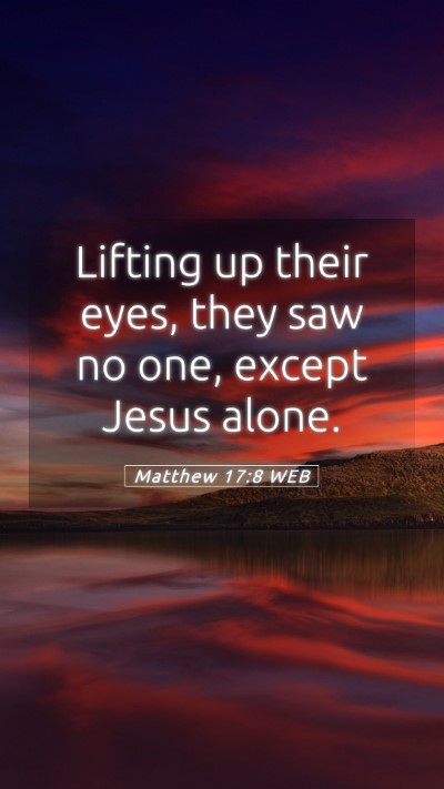 Picture 05 - Matthew 17:8 WEB Mobile Phone Wallpaper - Lifting up their eyes, they saw no one, except - Mobile Bible Verse Wallpaper