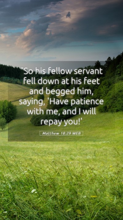 Picture 05 - Matthew 18:29 WEB Mobile Phone Wallpaper - 