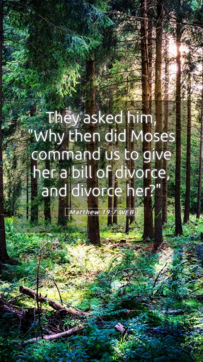 Picture 05 - Matthew 19:7 WEB Mobile Phone Wallpaper - They asked him, 