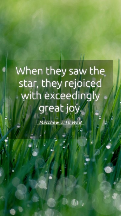Picture 05 - Matthew 2:10 WEB Mobile Phone Wallpaper - When they saw the star, they rejoiced with - Mobile Bible Verse Wallpaper