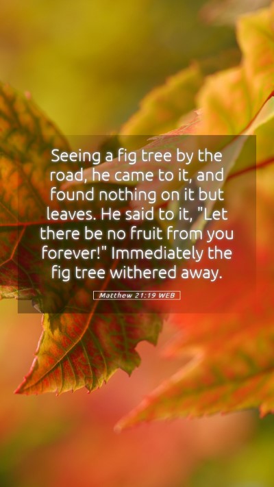 Picture 05 - Matthew 21:19 WEB Mobile Phone Wallpaper - Seeing a fig tree by the road, he came to it, and - Mobile Bible Verse Wallpaper
