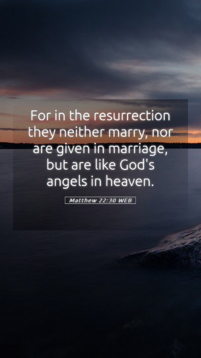 Picture 05 - Matthew 22:30 WEB Mobile Phone Wallpaper - For in the resurrection they neither marry, nor - Mobile Bible Verse Wallpaper