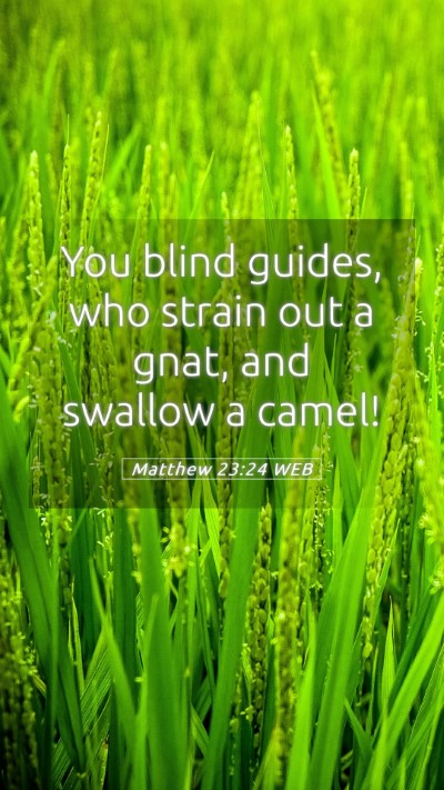 Picture 05 - Matthew 23:24 WEB Mobile Phone Wallpaper - You blind guides, who strain out a gnat, and - Mobile Bible Verse Wallpaper