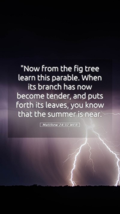 Picture 05 - Matthew 24:32 WEB Mobile Phone Wallpaper - 