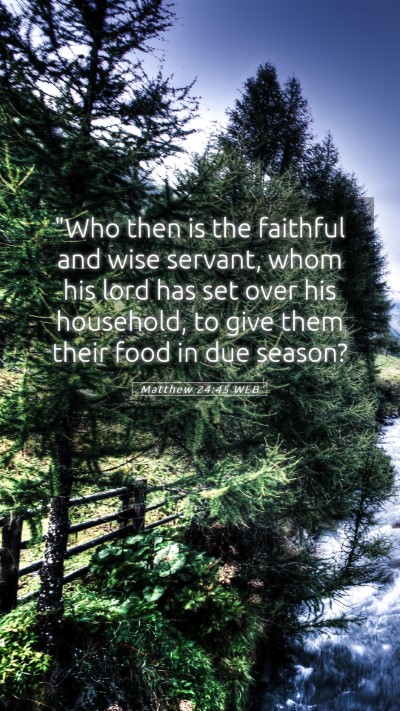 Picture 05 - Matthew 24:45 WEB Mobile Phone Wallpaper - 