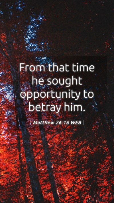 Picture 05 - Matthew 26:16 WEB Mobile Phone Wallpaper - From that time he sought opportunity to betray - Mobile Bible Verse Wallpaper
