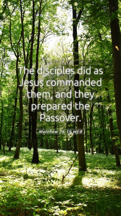 Picture 05 - Matthew 26:19 WEB Mobile Phone Wallpaper - The disciples did as Jesus commanded them, and - Mobile Bible Verse Wallpaper