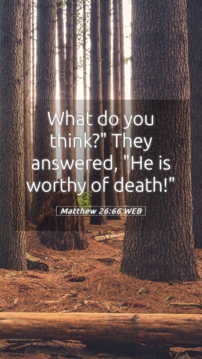 Picture 05 - Matthew 26:66 WEB Mobile Phone Wallpaper - What do you think?