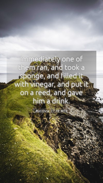 Picture 05 - Matthew 27:48 WEB Mobile Phone Wallpaper - Immediately one of them ran, and took a sponge, - Mobile Bible Verse Wallpaper