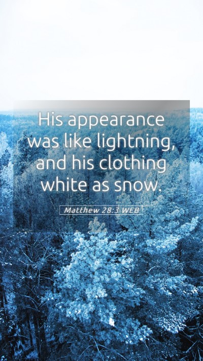 Picture 05 - Matthew 28:3 WEB Mobile Phone Wallpaper - His appearance was like lightning, and his - Mobile Bible Verse Wallpaper