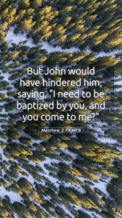Picture 05 - Matthew 3:14 WEB Mobile Phone Wallpaper - But John would have hindered him, saying, 
