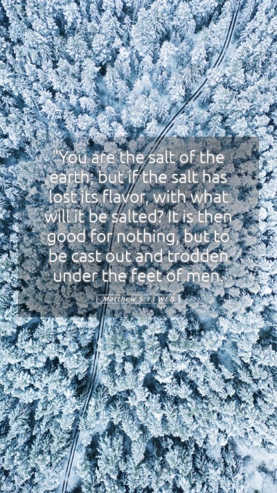 Picture 05 - Matthew 5:13 WEB Mobile Phone Wallpaper - 
