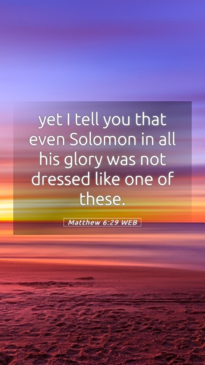 Picture 05 - Matthew 6:29 WEB Mobile Phone Wallpaper - yet I tell you that even Solomon in all his glory - Mobile Bible Verse Wallpaper