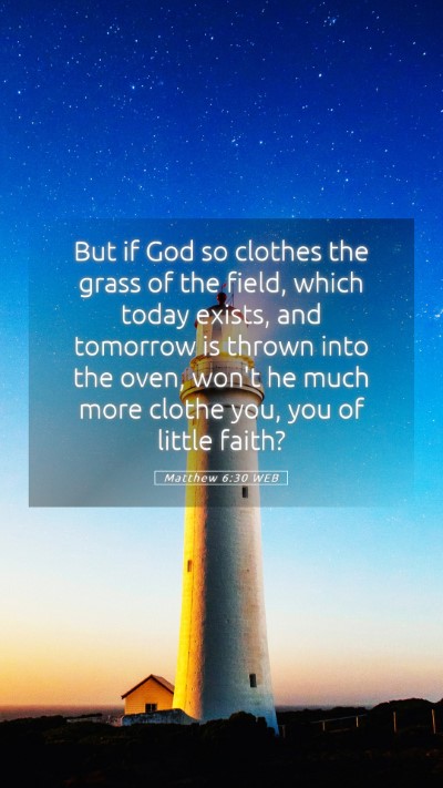 Picture 05 - Matthew 6:30 WEB Mobile Phone Wallpaper - But if God so clothes the grass of the field, - Mobile Bible Verse Wallpaper