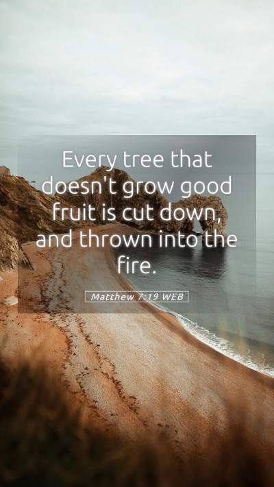 Picture 05 - Matthew 7:19 WEB Mobile Phone Wallpaper - Every tree that doesn't grow good fruit is cut - Mobile Bible Verse Wallpaper