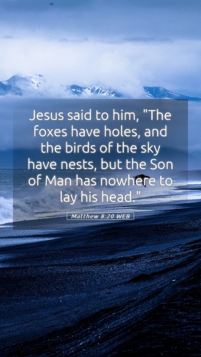 Picture 05 - Matthew 8:20 WEB Mobile Phone Wallpaper - Jesus said to him, 