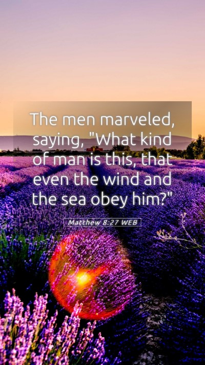Picture 05 - Matthew 8:27 WEB Mobile Phone Wallpaper - The men marveled, saying, 