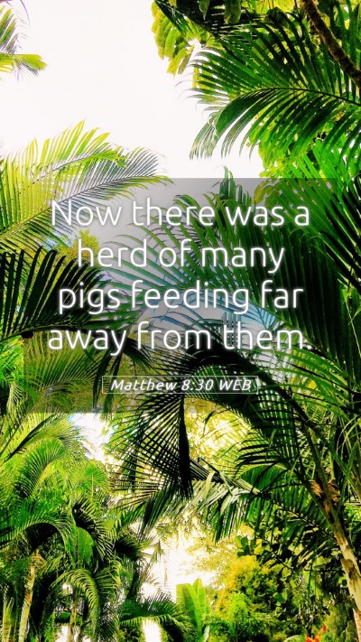 Picture 05 - Matthew 8:30 WEB Mobile Phone Wallpaper - Now there was a herd of many pigs feeding far - Mobile Bible Verse Wallpaper
