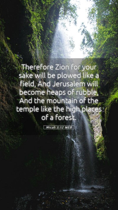 Picture 05 - Micah 3:12 WEB Mobile Phone Wallpaper - Therefore Zion for your sake will be plowed like - Mobile Bible Verse Wallpaper