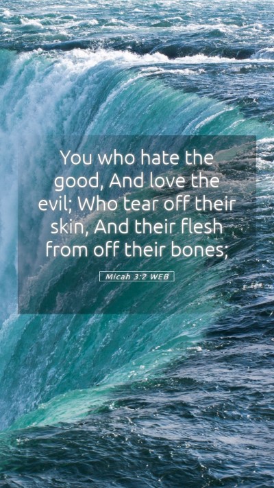 Picture 05 - Micah 3:2 WEB Mobile Phone Wallpaper - You who hate the good, And love the evil; Who - Mobile Bible Verse Wallpaper