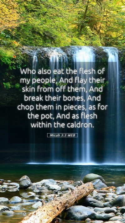 Picture 05 - Micah 3:3 WEB Mobile Phone Wallpaper - Who also eat the flesh of my people, And flay - Mobile Bible Verse Wallpaper