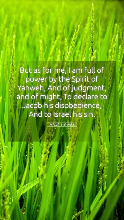 Picture 05 - Micah 3:8 WEB Mobile Phone Wallpaper - But as for me, I am full of power by the Spirit - Mobile Bible Verse Wallpaper