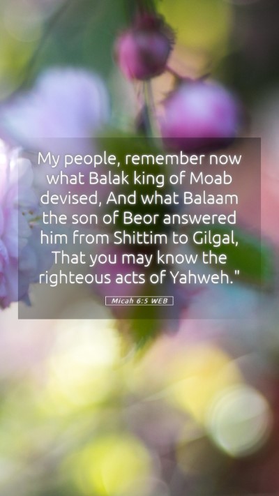 Picture 05 - Micah 6:5 WEB Mobile Phone Wallpaper - My people, remember now what Balak king of Moab - Mobile Bible Verse Wallpaper
