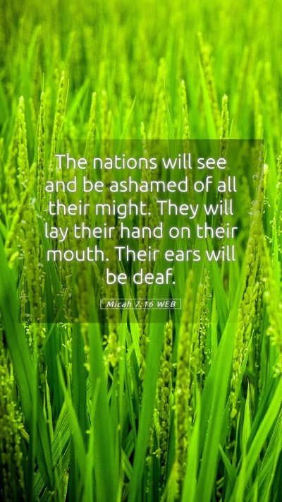 Picture 05 - Micah 7:16 WEB Mobile Phone Wallpaper - The nations will see and be ashamed of all their - Mobile Bible Verse Wallpaper