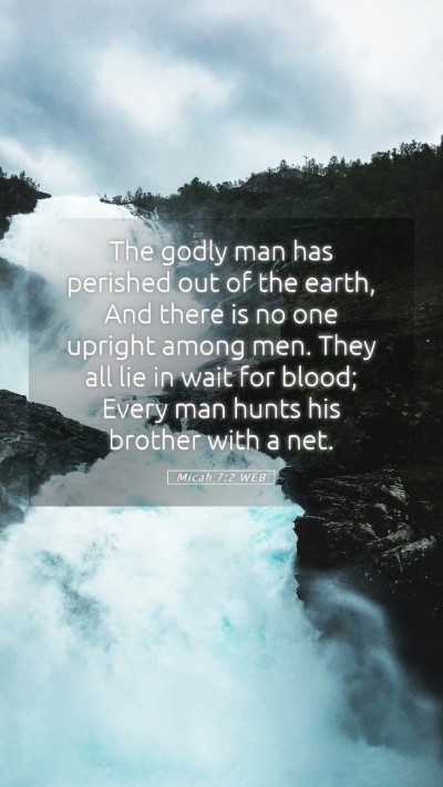 Picture 05 - Micah 7:2 WEB Mobile Phone Wallpaper - The godly man has perished out of the earth, And - Mobile Bible Verse Wallpaper