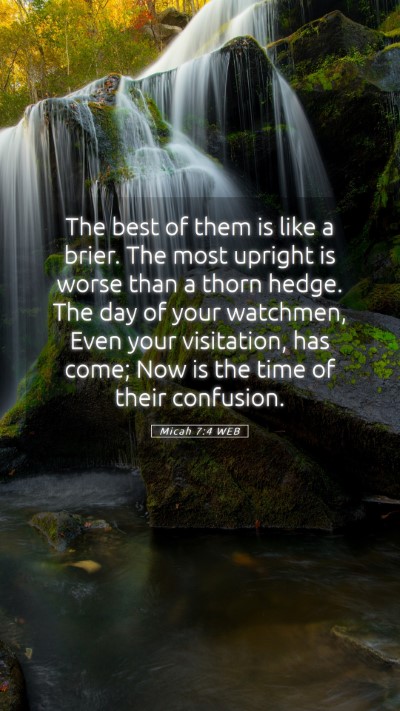 Picture 05 - Micah 7:4 WEB Mobile Phone Wallpaper - The best of them is like a brier. The most - Mobile Bible Verse Wallpaper