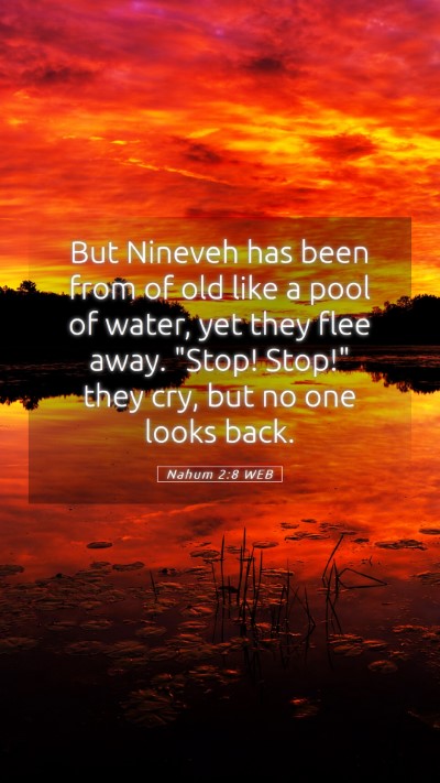 Picture 05 - Nahum 2:8 WEB Mobile Phone Wallpaper - But Nineveh has been from of old like a pool of - Mobile Bible Verse Wallpaper