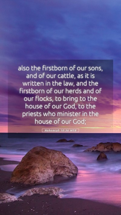 Picture 05 - Nehemiah 10:36 WEB Mobile Phone Wallpaper - also the firstborn of our sons, and of our - Mobile Bible Verse Wallpaper