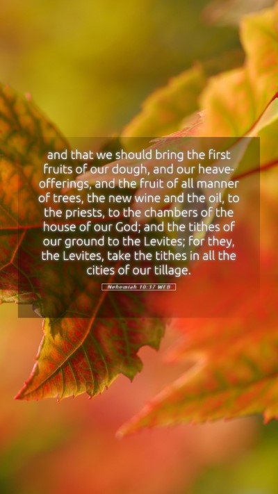 Picture 05 - Nehemiah 10:37 WEB Mobile Phone Wallpaper - and that we should bring the first fruits of our - Mobile Bible Verse Wallpaper