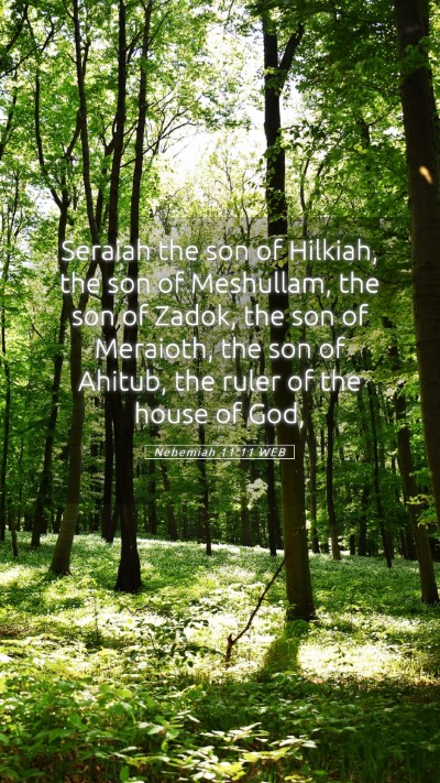 Picture 05 - Nehemiah 11:11 WEB Mobile Phone Wallpaper - Seraiah the son of Hilkiah, the son of Meshullam, - Mobile Bible Verse Wallpaper