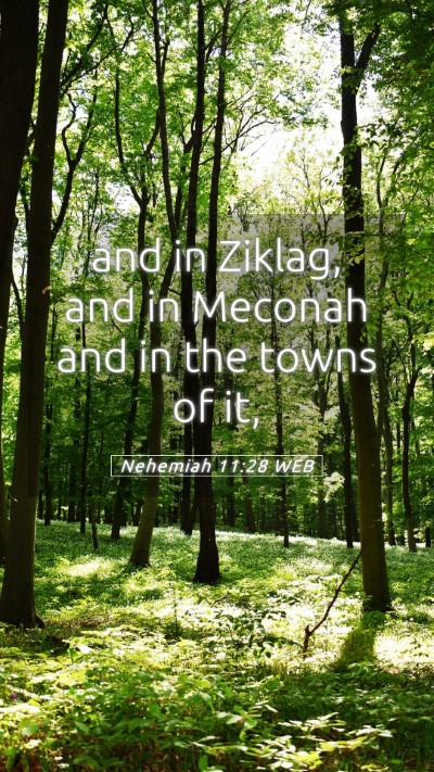 Picture 05 - Nehemiah 11:28 WEB Mobile Phone Wallpaper - and in Ziklag, and in Meconah and in the towns of - Mobile Bible Verse Wallpaper