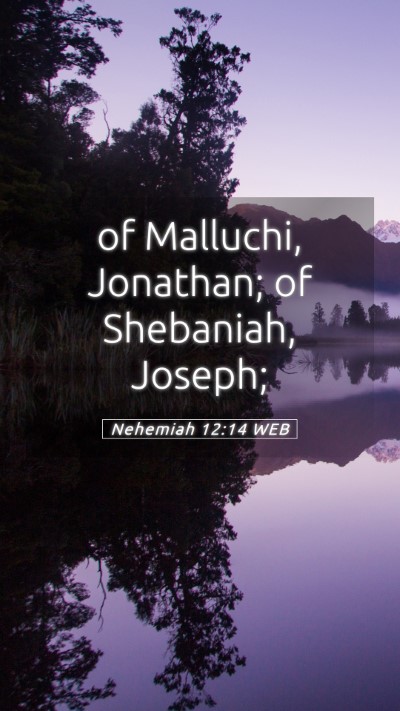 Picture 05 - Nehemiah 12:14 WEB Mobile Phone Wallpaper - of Malluchi, Jonathan; of Shebaniah, - Mobile Bible Verse Wallpaper