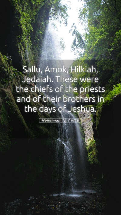 Picture 05 - Nehemiah 12:7 WEB Mobile Phone Wallpaper - Sallu, Amok, Hilkiah, Jedaiah. These were the - Mobile Bible Verse Wallpaper