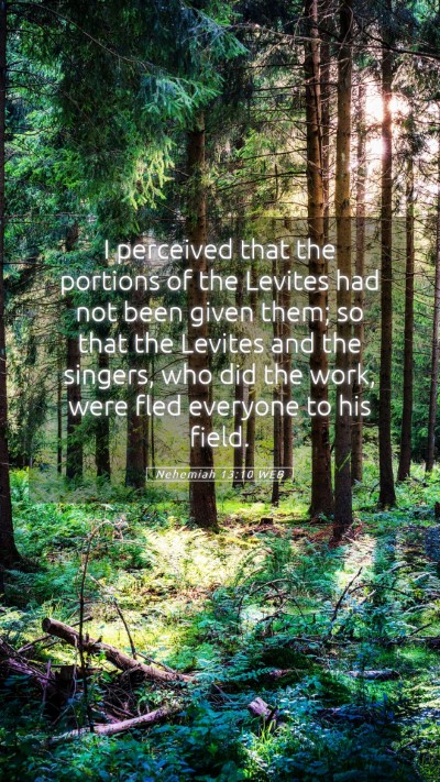 Picture 05 - Nehemiah 13:10 WEB Mobile Phone Wallpaper - I perceived that the portions of the Levites had - Mobile Bible Verse Wallpaper