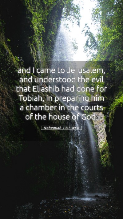 Picture 05 - Nehemiah 13:7 WEB Mobile Phone Wallpaper - and I came to Jerusalem, and understood the evil - Mobile Bible Verse Wallpaper