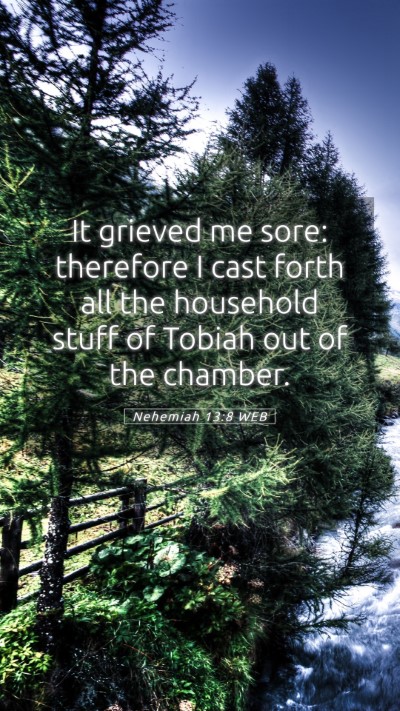 Picture 05 - Nehemiah 13:8 WEB Mobile Phone Wallpaper - It grieved me sore: therefore I cast forth all - Mobile Bible Verse Wallpaper