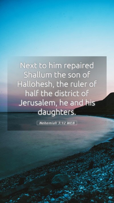 Picture 05 - Nehemiah 3:12 WEB Mobile Phone Wallpaper - Next to him repaired Shallum the son of - Mobile Bible Verse Wallpaper