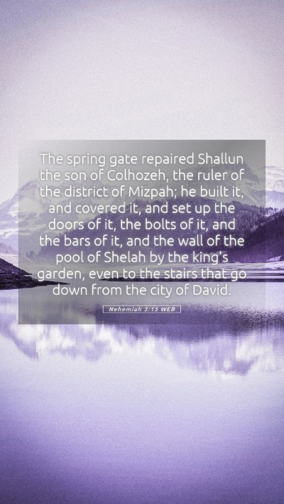 Picture 05 - Nehemiah 3:15 WEB Mobile Phone Wallpaper - The spring gate repaired Shallun the son of - Mobile Bible Verse Wallpaper