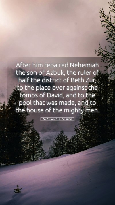 Picture 05 - Nehemiah 3:16 WEB Mobile Phone Wallpaper - After him repaired Nehemiah the son of Azbuk, the - Mobile Bible Verse Wallpaper